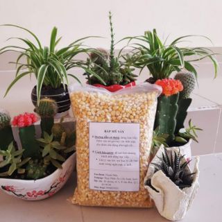 BẮP MỸ SẤY LẠNH