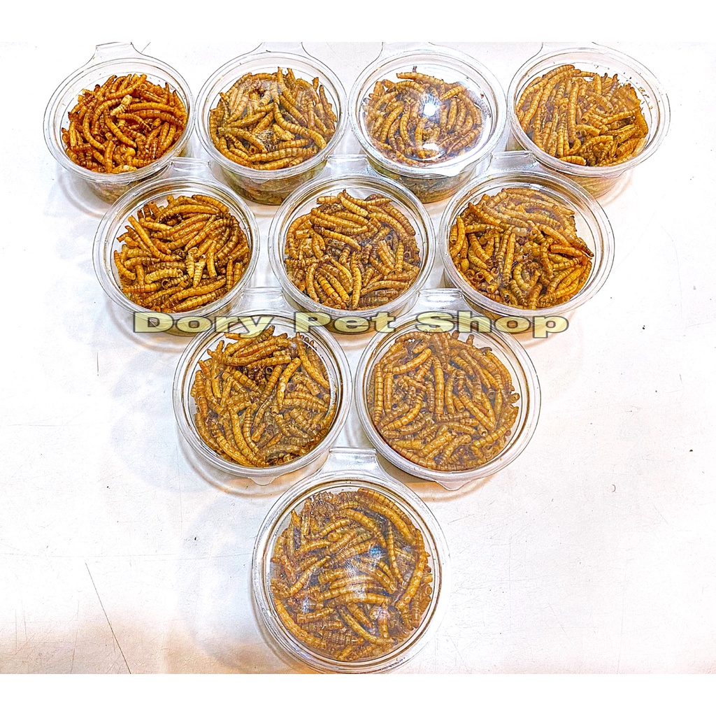 Sâu Rang 15gr Hamster Thỏ Bọ Nhím Sóc Chim