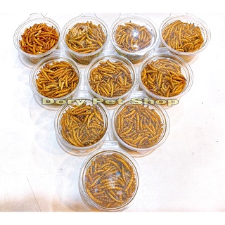 Sâu rang 15gr hamster thỏ bọ nhím sóc chim