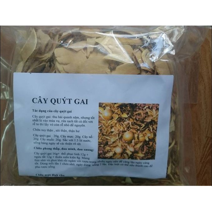 1kg Cây Quýt Gai khô trị suy thận
