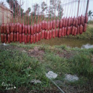 Bọc lạp xưởng