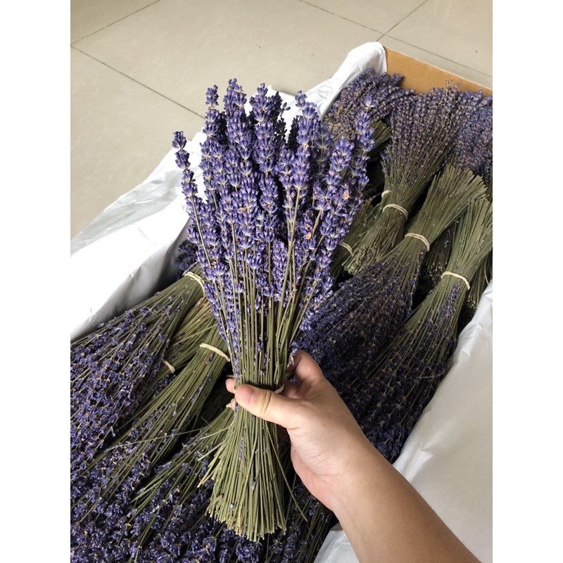 Nụ hoa oải hương lavender khô 20g (làm trà, để thơm phòng hoặc xông mặt làm đẹp)