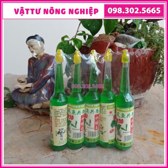 Dung dịch thuỷ canh cho cây thuỷ sinh, cắm hoa tươi lâu hơn