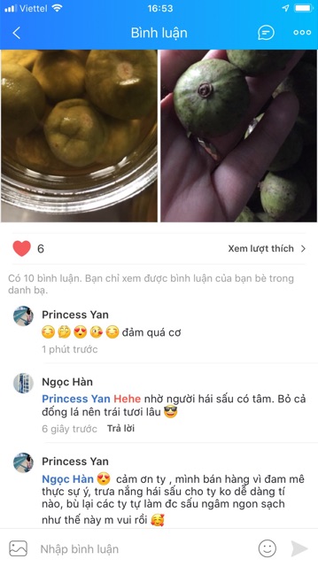 2kg Sấu Xanh Tươi Ngon Đầu Mùa Đặt Hàng Mới Hái