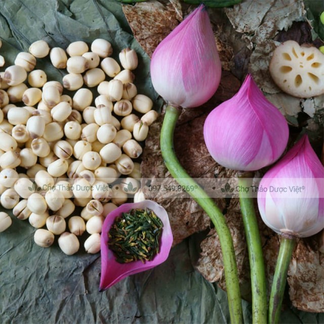 500g Trà Tâm Sen (Trà Sao Thơm, An Thần, Ngủ Ngon)