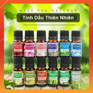 Lọ tinh dầu thiên nhiên dùng cho máy phun sương tinh dầu