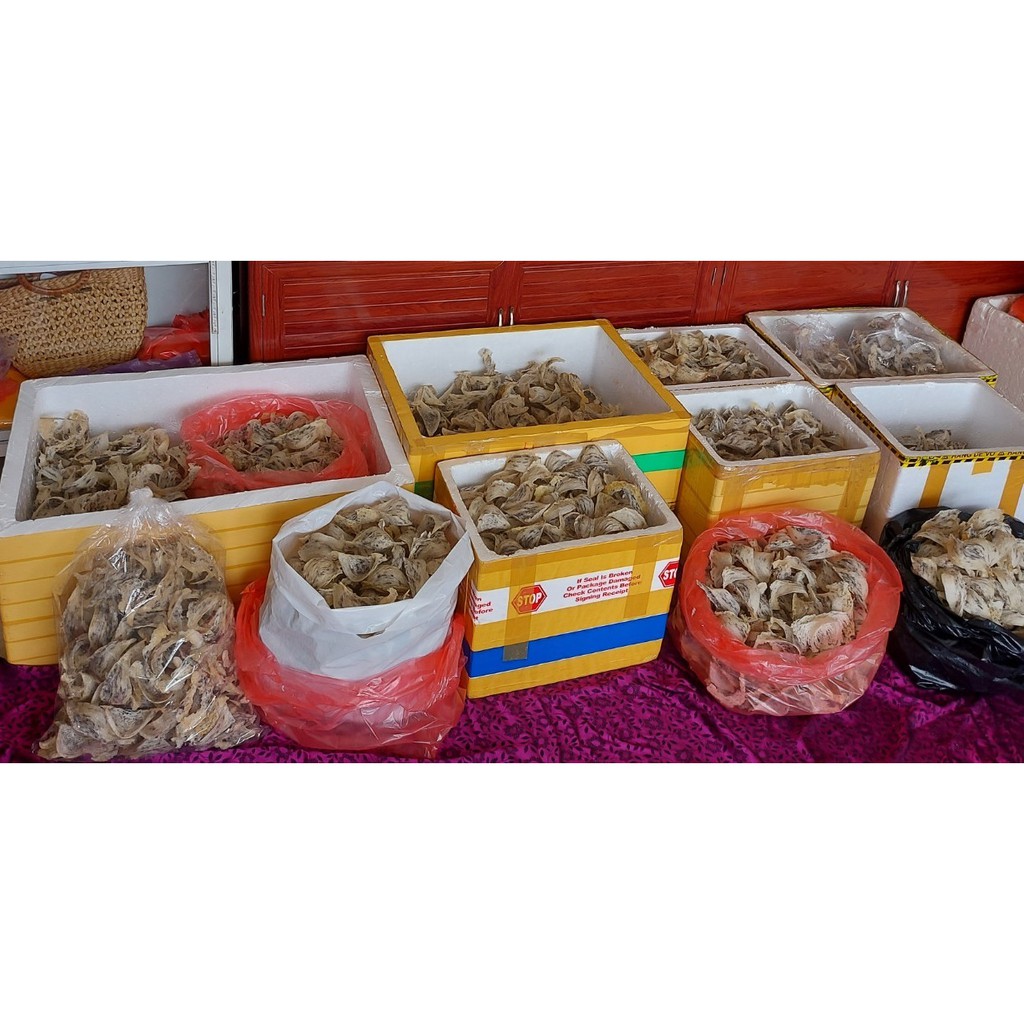 [Nguyên tổ, còn lông] Yến sào thô loại 1- tặng táo đỏ, đường phèn, long nhãn.