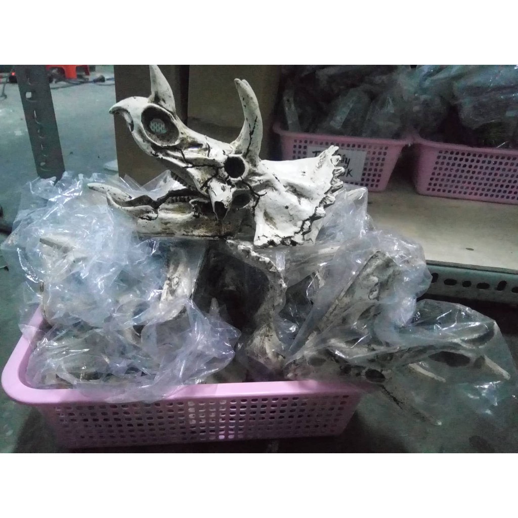 Sọ khủng long 3 sừng Triceratops trang trí bể cá, thuỷ sinh, bò sát, tarantula