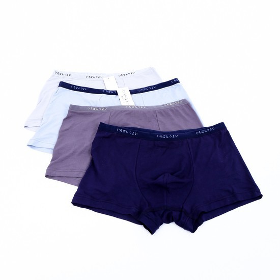 SET 5 QUẦN SỊP NAM ĐÙI/ CHÉO XUẤT NHẬT BC_CHIC LINGERIE