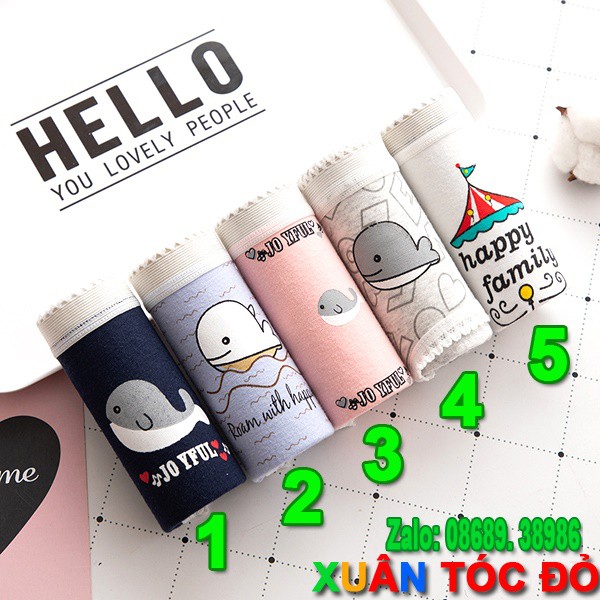 [Mã WASTDEP giảm 5K đơn bất kì] SỈ ZALO RẺ HƠN NHIỀU_ Quần Lót 5 Kiểu Cá Heo Cute N013 | BigBuy360 - bigbuy360.vn