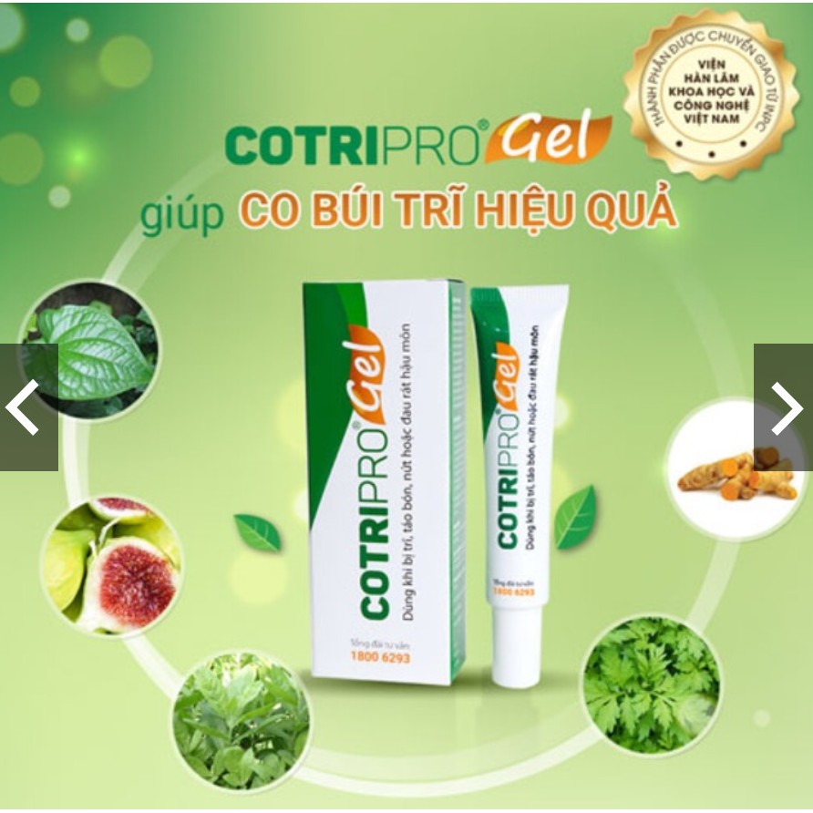 COTRIPRO gel 25g kem bôi trĩ