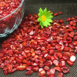 50g Đá San Hô Đỏ Tự Nhiên