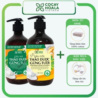 Dầu gội thao dược thiên nhiên giảm rụng ngứa mềm mượt gừng dừa Cỏ Cây Hoa Lá 440gr/chai