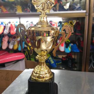 Cup vô địch VS01