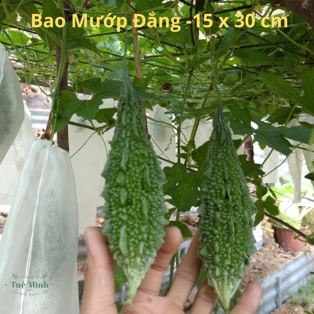 10 Túi bao Trái Mướp - Bầu Sao - Bí - Bao Bọc Quả Dài 15x30 Cm - Túi Rút Tiện Lợi Chất Liệu Vải Không Dệt