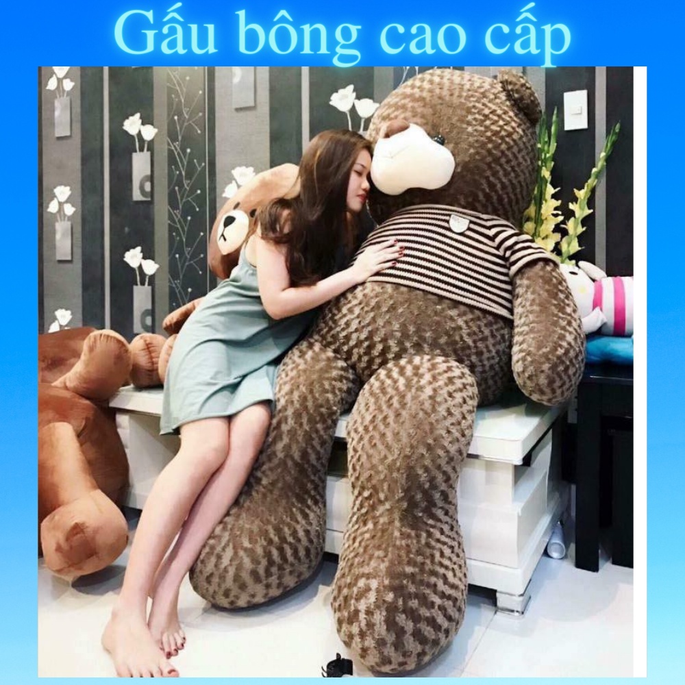 Gấu bông Teddy 🛡𝑯𝒂̀𝒏𝒈 𝑪𝒂𝒐 𝑪𝒂̂́𝒑🛡, gối ôm hình thú nhồi bông siêu to khổng lồ 1m8/1m5/1m3/1m1/95cm