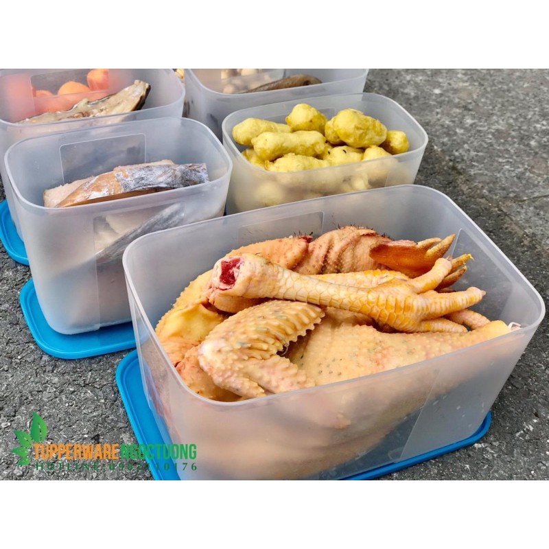 Tupperware - Hộp đông 2.3l duy nhất của Tupperware đựng được gà nguyên con