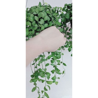 Kem Siêu Hấp Trắng Bạch ( hộp 500g)