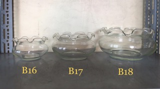 Hồ Cá, Chậu Cây Bèo Lùn Thuỷ Tinh