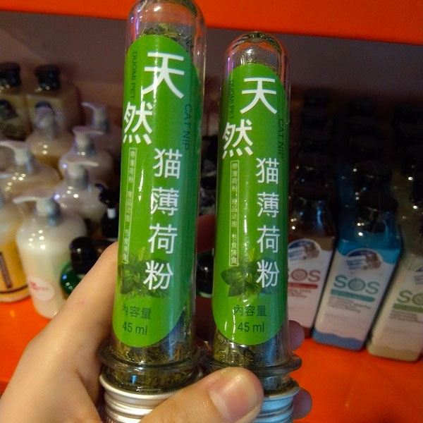 Cỏ mèo catnip bạc hà cho mèo