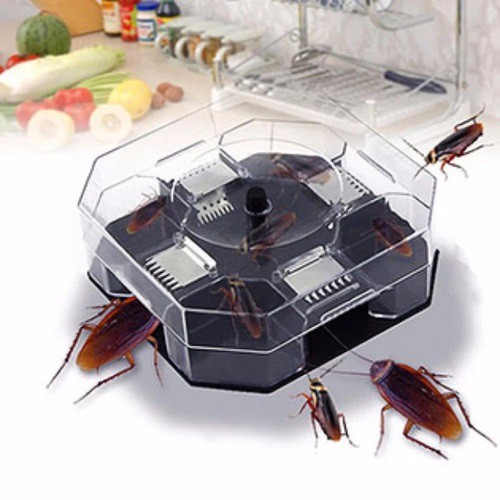 Hộp Bẫy Dán,Dụng Cụ Bắt Dán Không Hóa Chất Độc Hại Và Côn Trùng An Toàn Cho Sức Khỏe Con Người