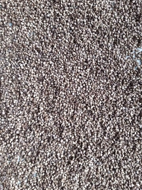 Hạt chuối rừng nguyên hạt khô loại 1 1kg | BigBuy360 - bigbuy360.vn