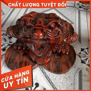 Cóc gỗ xà cừ