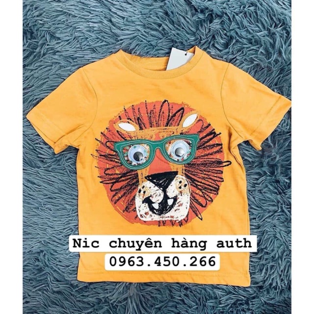 Áo next auth cho khách Van Dt
