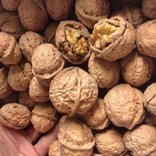 500g Quả Óc Chó Nếp Hà Giang