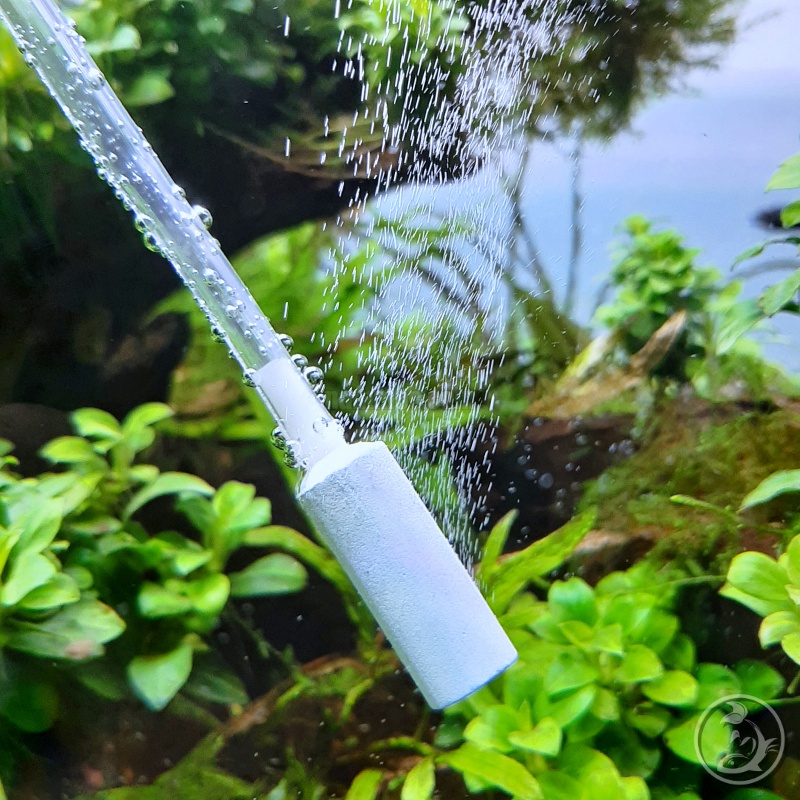 Quả Sủi CO2 Siêu Mịn - Siêu Bền - Siêu Rẻ | Đầu Sủi CO2 DIY Cho Hồ Thuỷ Sinh
