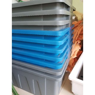 Khay trồng rau sạch thông minh cao cấp, chậu trồng rau 70 lít