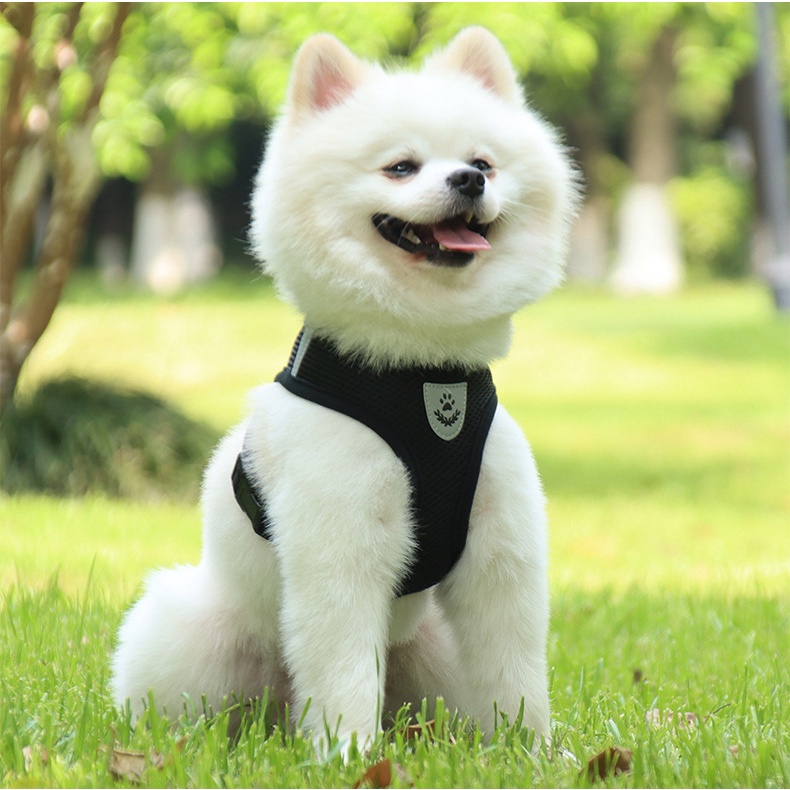 Bộ Dây Dắt Thú Cưng Phản Quang Thoáng Khí 9 Màu Kèm Dây Dắt