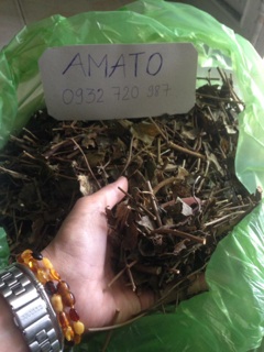 Lá Vằng Quảng Trị