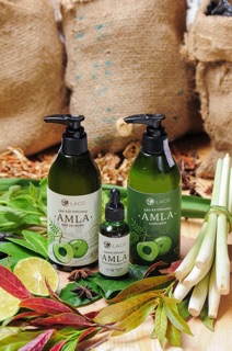 Dầu gội Amla ngăn rụng tóc