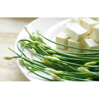 HẠT GIỐNG CÁC LOẠI RAU