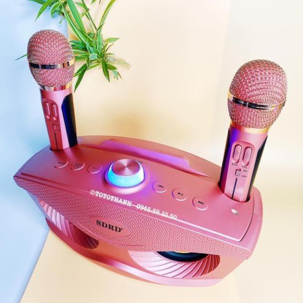 Loa karaoke mini di động SD-306 loa hát karaoke đa năng + Tặng Kèm 2 Mic Không Dây