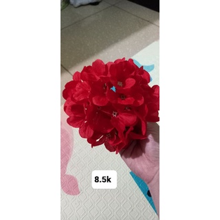 Hoa Tú Cầu