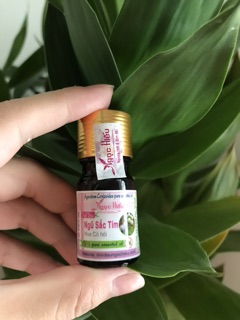 Tinh dầu Ngũ Sắc Tím Ngọc Hiếu