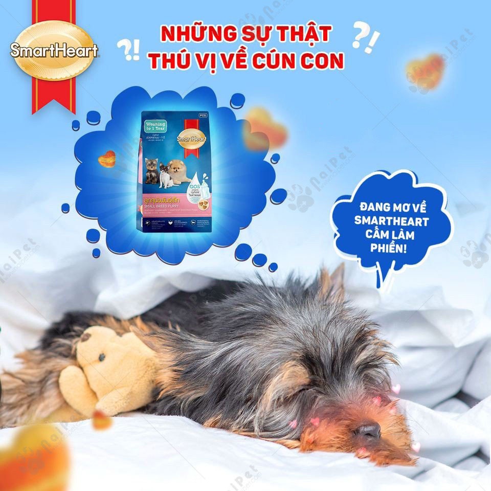 Thức ăn hạt cho Cho con giống nhỏ Smartheart Small Breed Puppy Gói 2.6kg Xuất xứ Thái Lan Bổ sung dinh dưỡng hoàn chỉnh