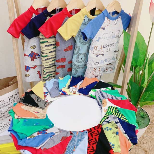 Bộ bozip phối tây combo 150k 5bo