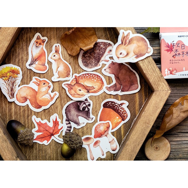 Hộp 46 miếng sticker mẫu con sóc và khu rừng mùa thu