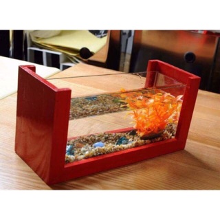 Bể cá mini khung gỗ sang trọng