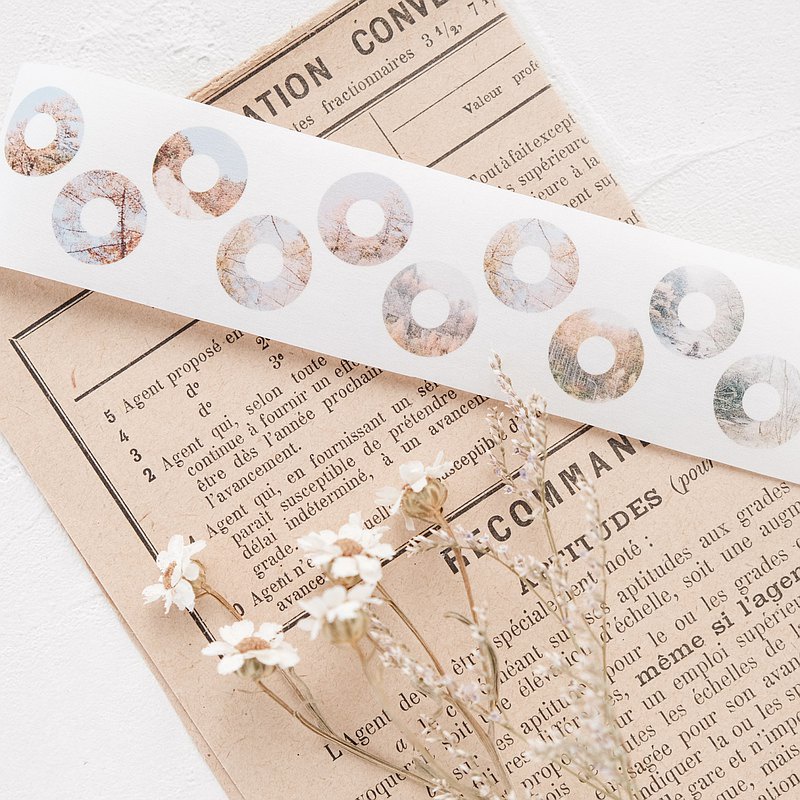Washi tape họa tiết tròn Stationery Instinct chu kì 50cm meohime