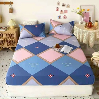 Bộ ga gối cotton