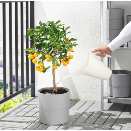 Bình tưới cây IKEA PS 2002