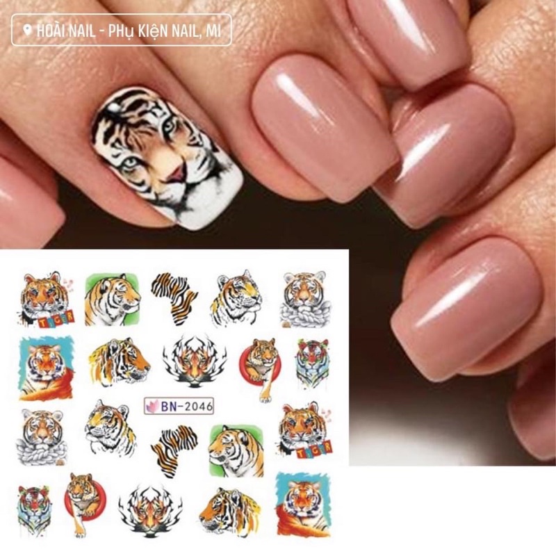 Sticker nước tấm to hổ báo