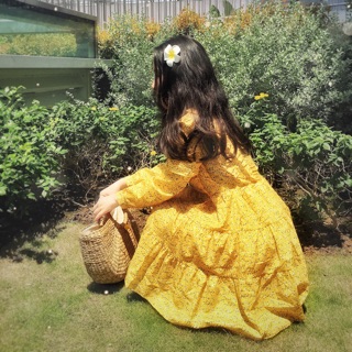 Baby doll hoa vàng