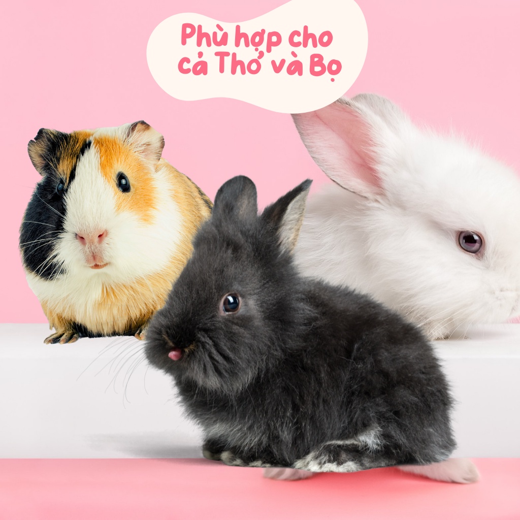 Vitamin hamster, ĐỎ bổ sung chất, kích thích thèm ăn cho hamster, bọ, thỏ