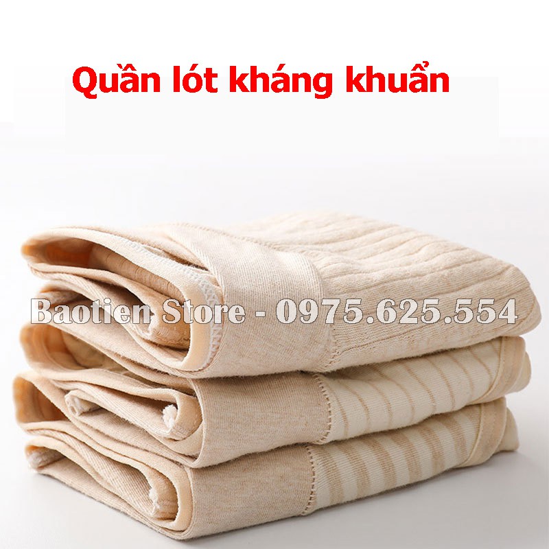 Combo 3 Quần Lót Bầu Cạp Chéo chất cotton kháng khuẩn, có thể mặc sau sinh, đồ lót bầu QL16