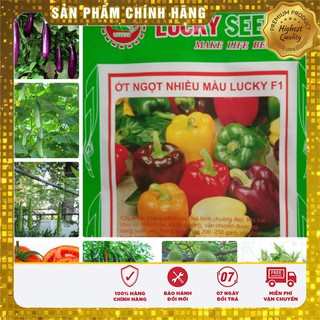 COMBO 12 loại hạt giống rau quả mùa hè 9 Tốt LUCKY SEEDS